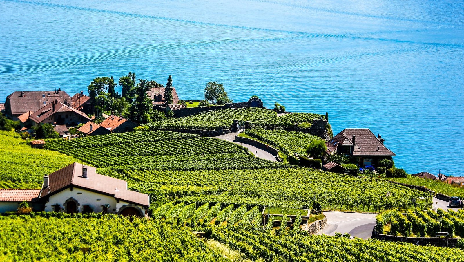 My-Swiss Immobilier en Suisse