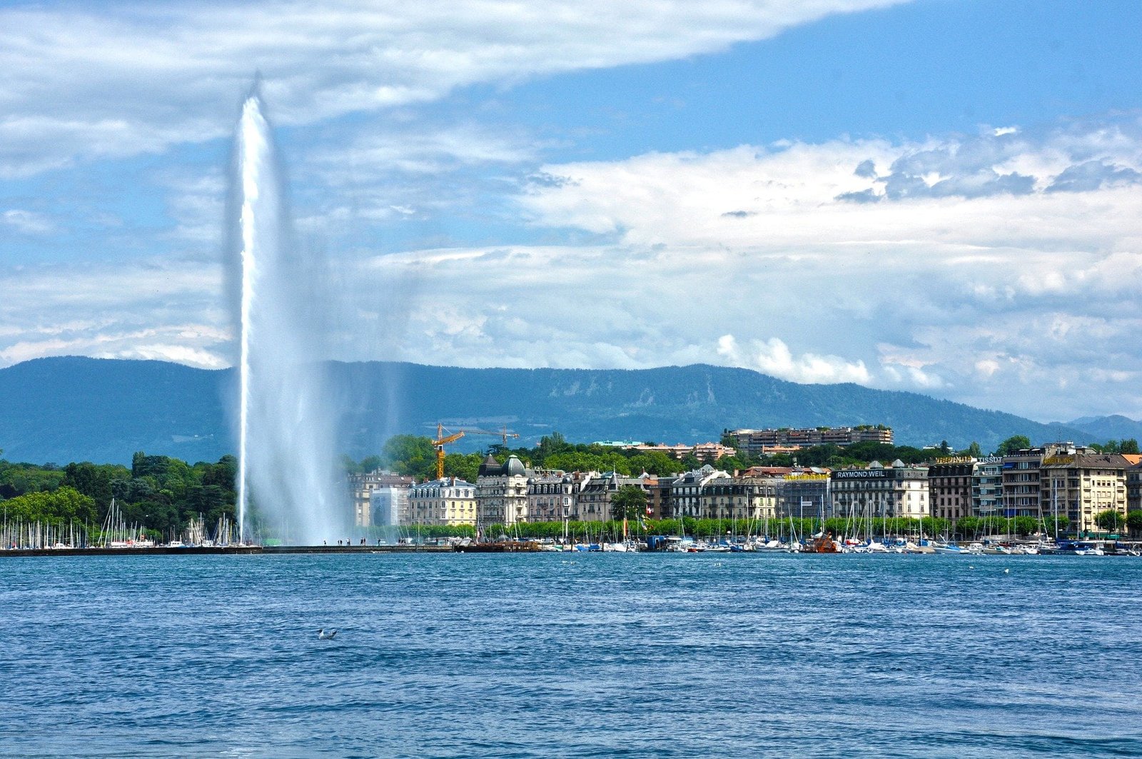 My-Swiss Taxation ordinaire ultérieure