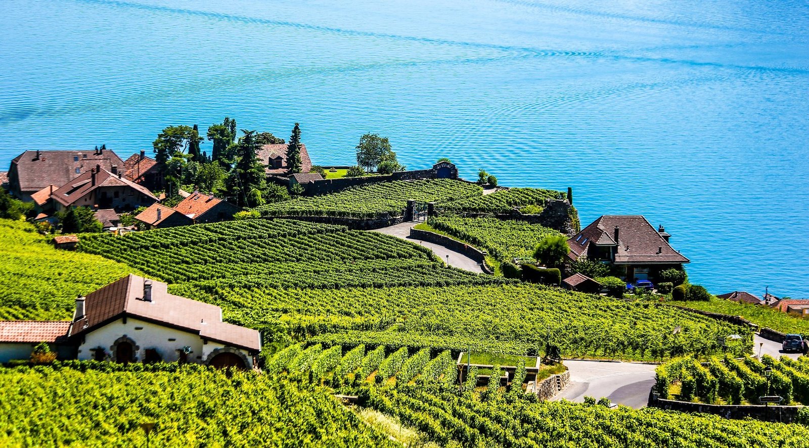 My-Swiss Montreux