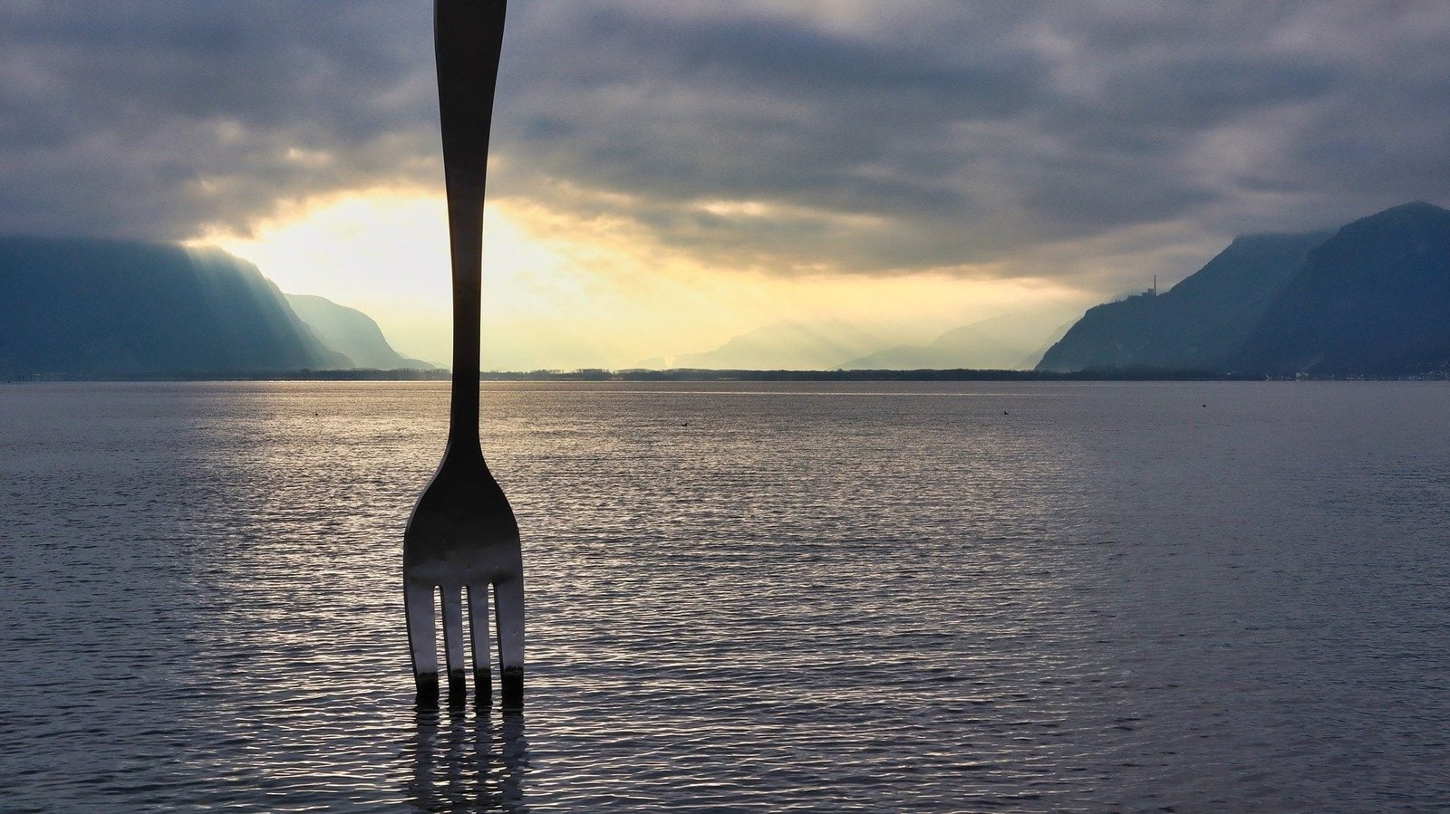 My-Swiss Vevey