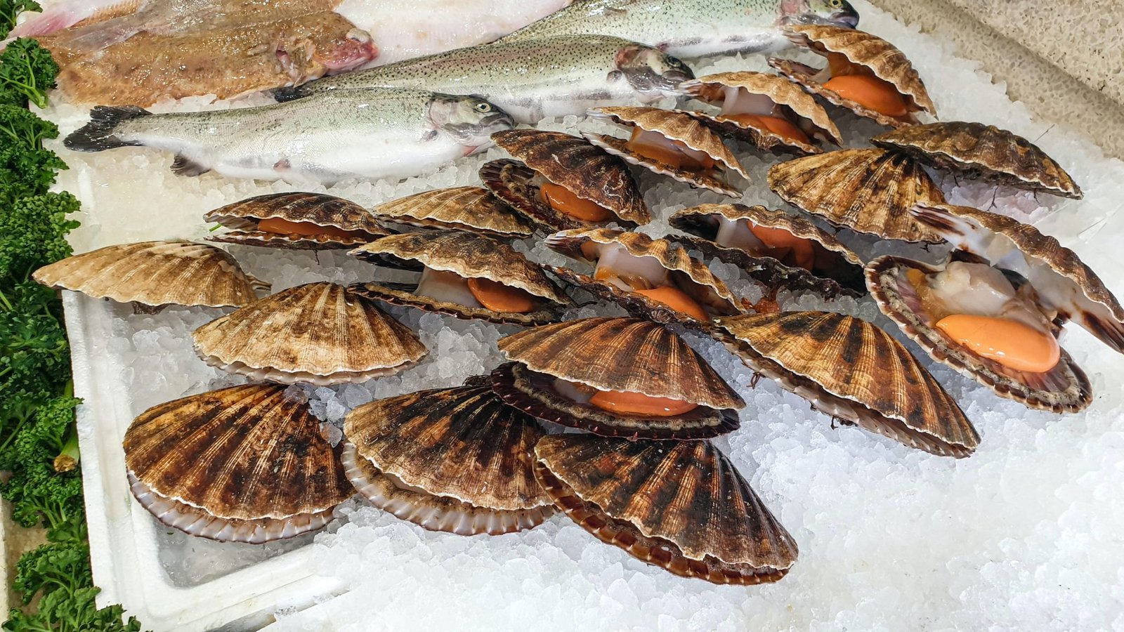 Salaire poissonnier en Suisse